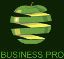 Business Pro